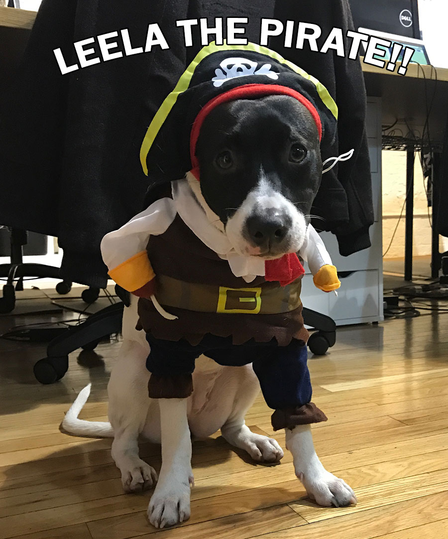 LEELA WAS A PIRATE FOR HALLOWEEN